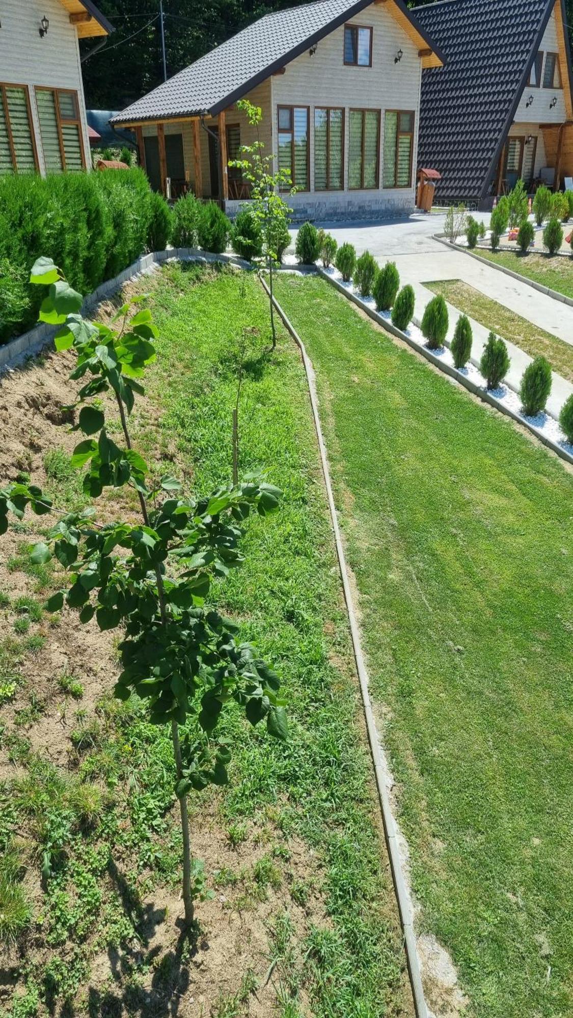 Apartament La Maria Si Ioana Curtea de Argeş Zewnętrze zdjęcie