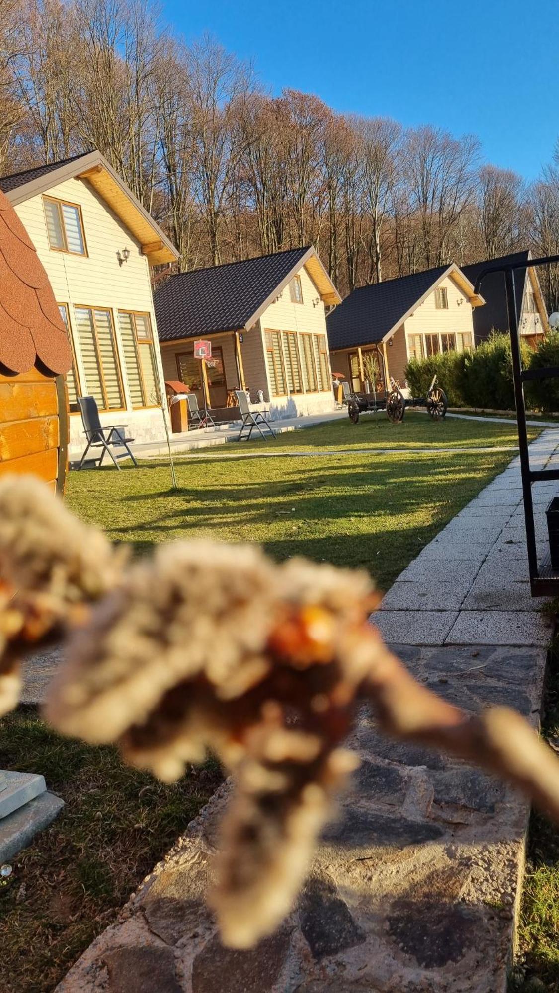 Apartament La Maria Si Ioana Curtea de Argeş Zewnętrze zdjęcie